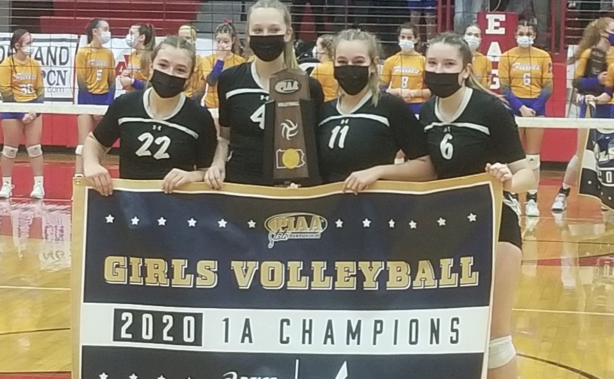 PIAA Releases 2021 Volleyball Playoff Brackets D9 and 10 Sports